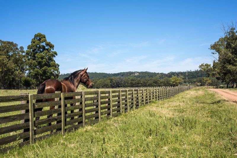 Horse Fence Replacement in South Houston, TX