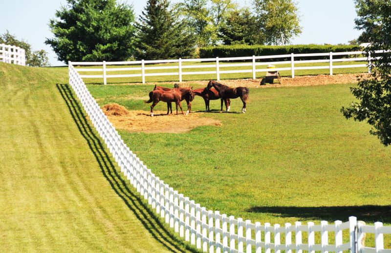 Equine Fence Installation in Pearland, TX
