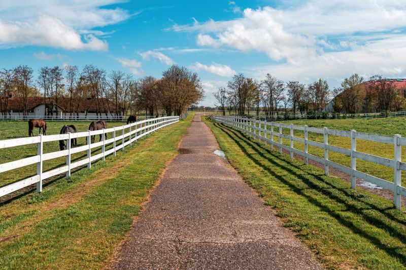 Equine Fence Installation in Roseville, CA