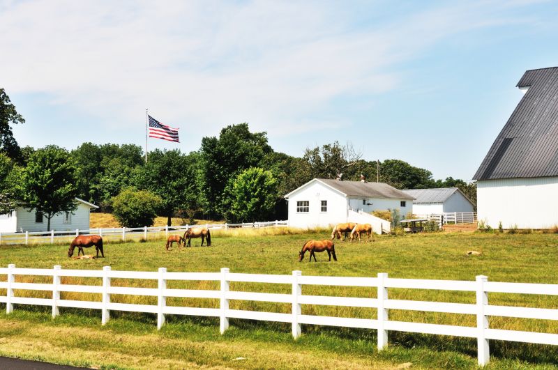 Horse Paddock Installation in Sacramento, CA