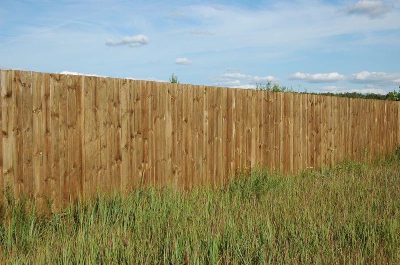 Pine Fence Installation in Sacramento, CA
