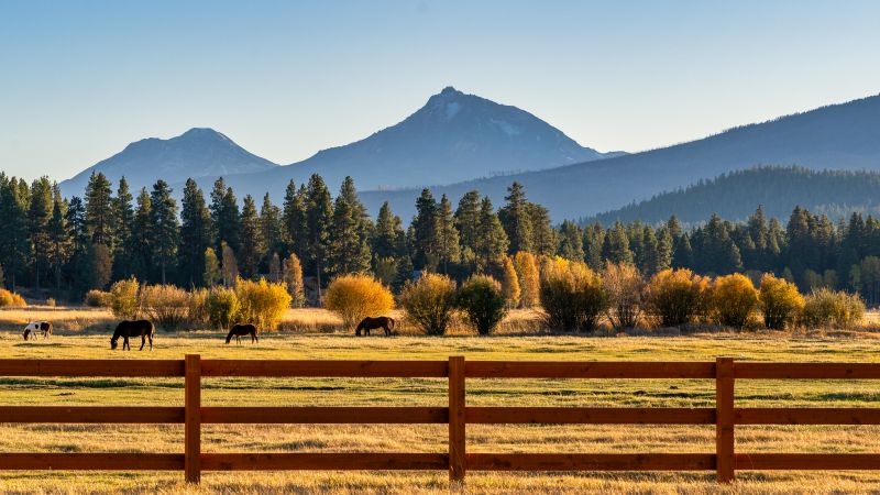 Ranch Fence Construction in Sacramento, CA