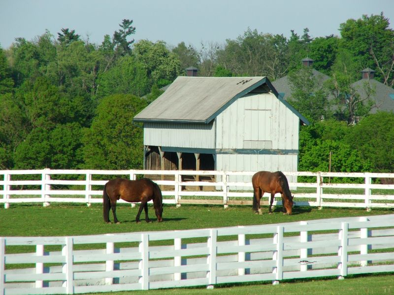Stable Fencing Installation in Pearland, TX